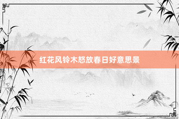 红花风铃木怒放春日好意思景
